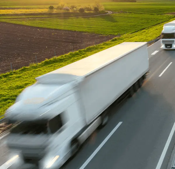 supply chain risk management