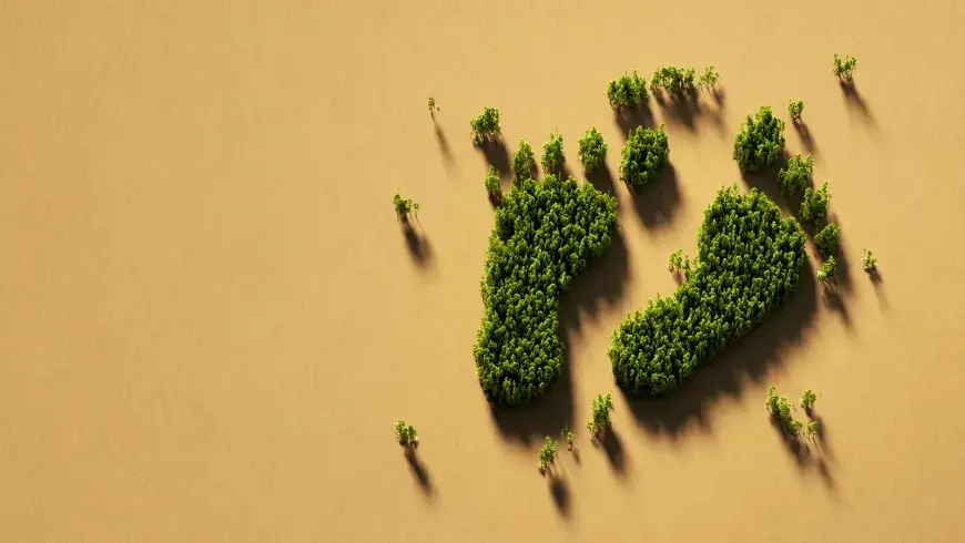 Carbon Footprint