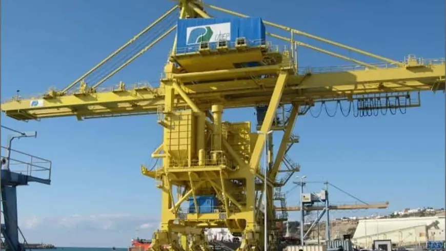 Grues marsa Maroc