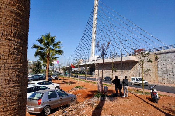 Pont à haubans au niveau de la route de l’Aéroport Mohammed V – SEPROB