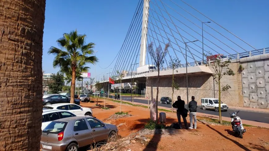 Pont à haubans au niveau de la route de l’Aéroport Mohammed V – SEPROB