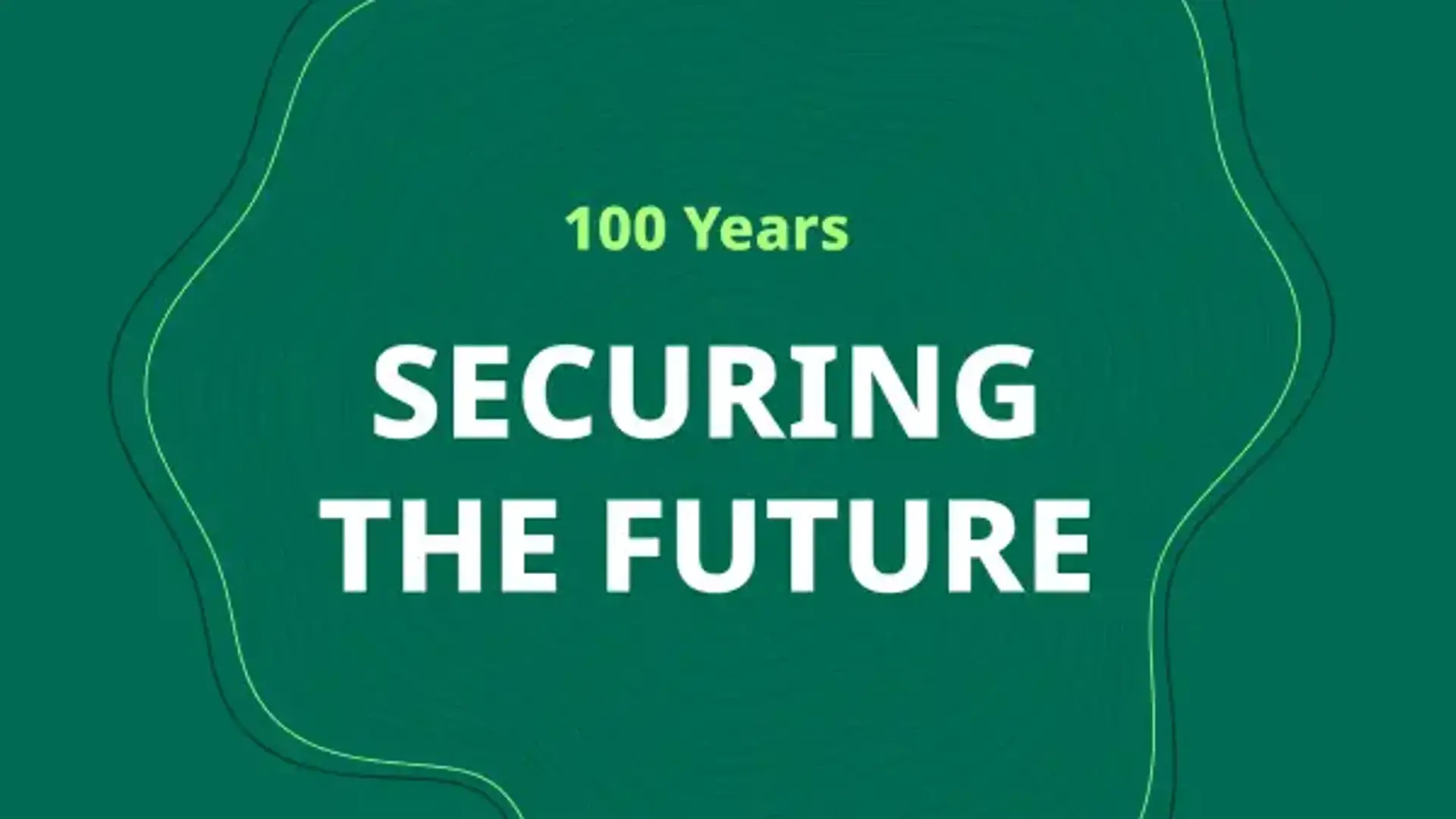 Informe anual visual